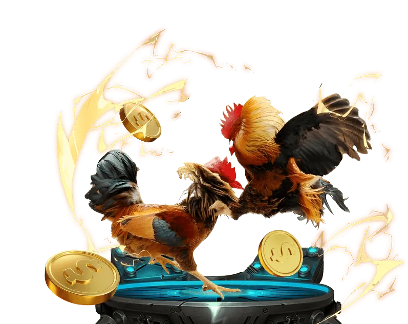 Ưu điểm vượt trội của tieng ruoi bit.ly